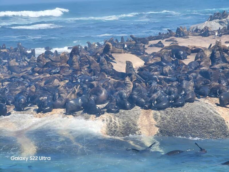 Cape Town: 3-Day City, Peninsula, and Winelands Tour - Key Points