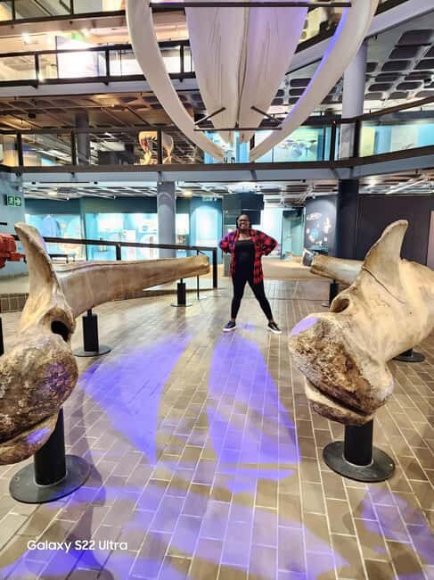 Cape Town: 3-Day City, Peninsula, and Winelands Tour - What To Expect and Practical Tips
