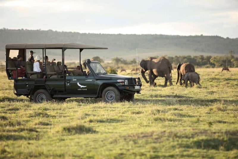Cape Town: 3-Day Inverdoorn Safari with Accommodation - An Introduction to South Africa’s Wilderness from Cape Town