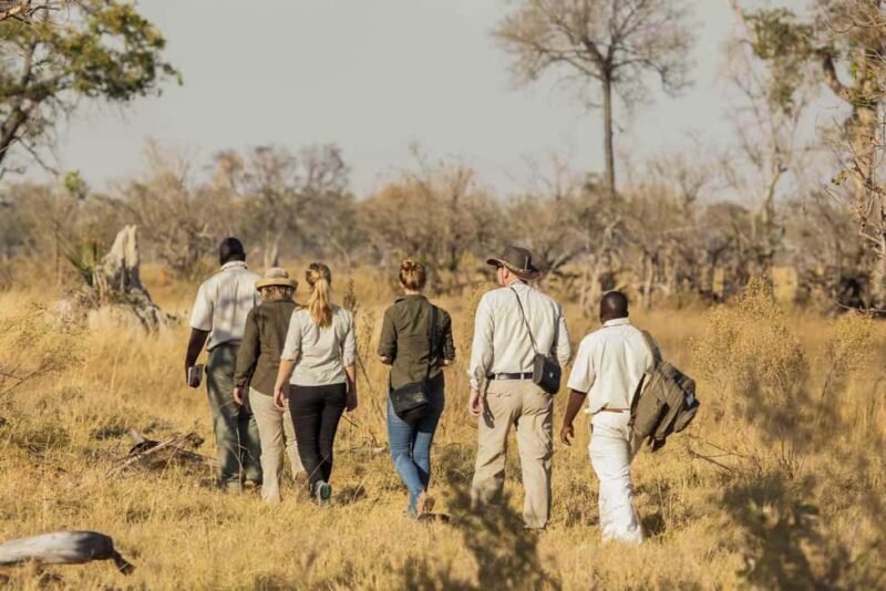 Cape Town: 3-Day Inverdoorn Safari with Accommodation - What Does the Tour Include and Exclude?