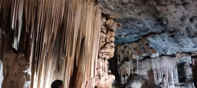 Cape Town: 5-Day Garden Route &Addo Elephant Port Elizabeth - Why You’ll Love This Tour