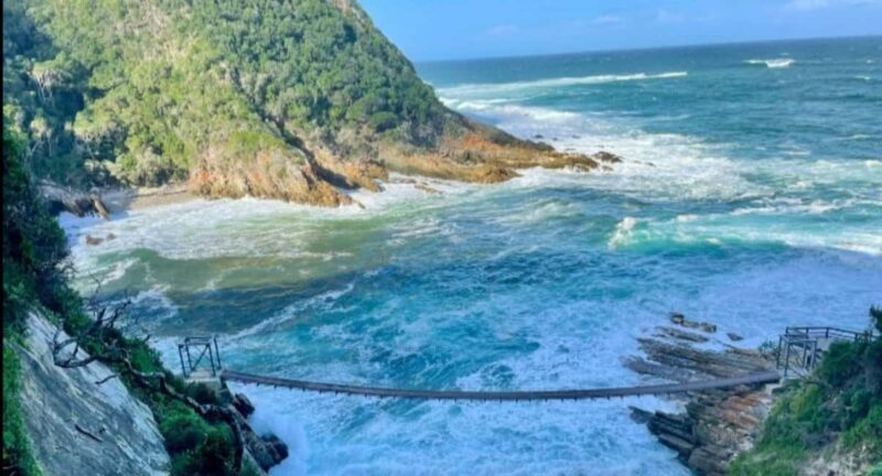 Cape Town: 5-Day Garden Route &Addo Elephant Port Elizabeth - Who This Tour Is Best For