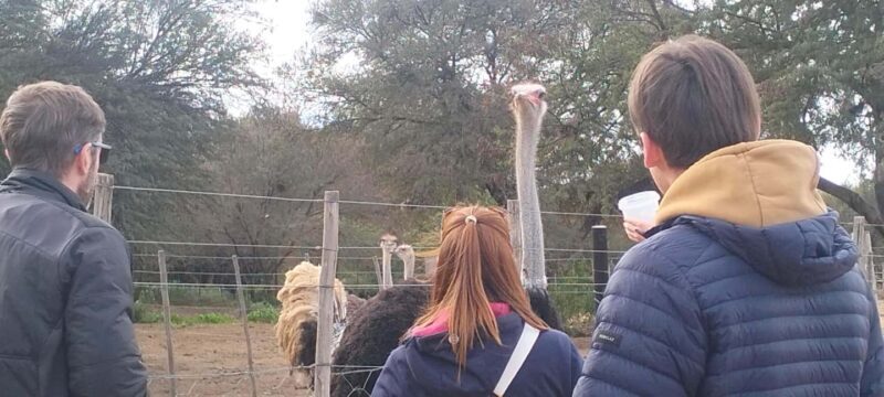 Cape Town: 5-Day Garden Route &Addo Elephant Port Elizabeth - Frequently Asked Questions