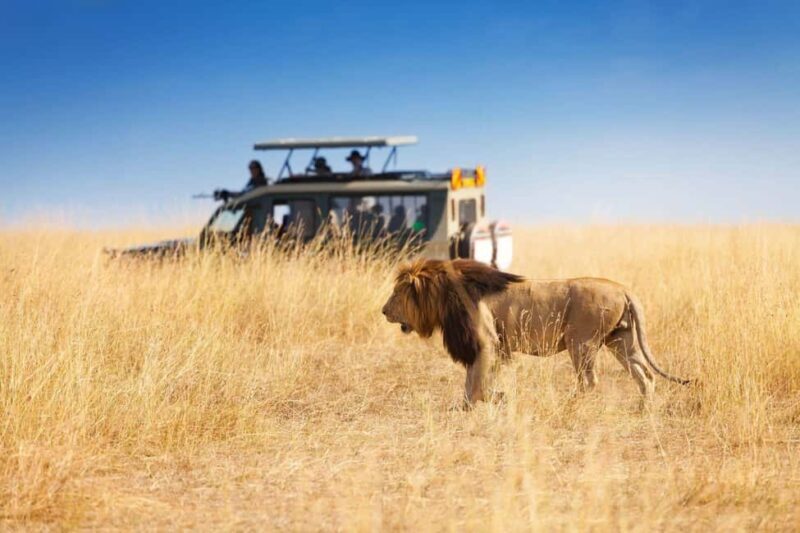 Cape Town: 5-Day Garden Route Tour with Accommodation - Key Points