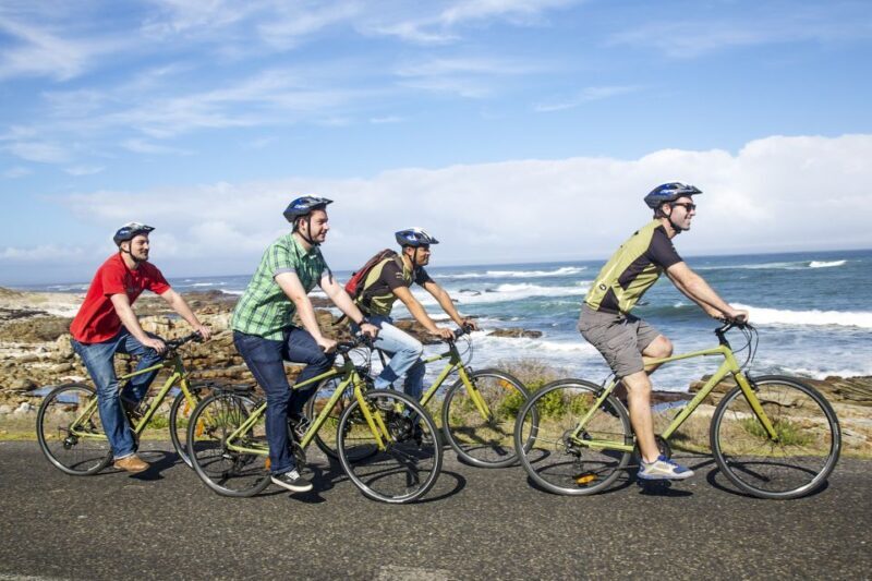 Cape Town: 9-hour Cape Point Private Guided Cycling Tour - Value and Suitability