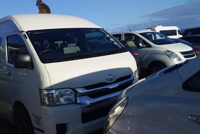 Cape Town Airport Transfers to hotels and Return Transfers, Wi-Fi - Meeting Points and How It Works