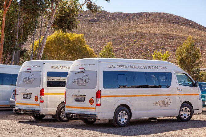 Cape Town Aquila Afternoon Safari with transport and lunch - Analyzing the Value
