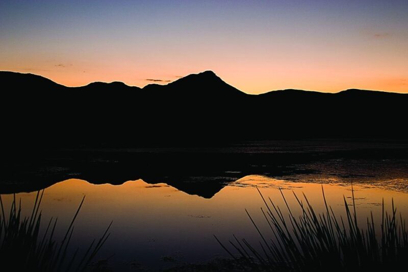 Cape Town: Aquila Game Reserve Day Entrance & Game Drive - What Does the Price of $138 Really Get You?