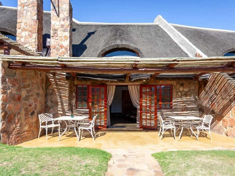 Cape Town: Aquila Reserve safari with lunch & wine tasting - Introduction: A Promising Day in the Western Cape