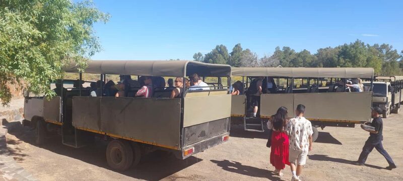 Cape Town - Aquila Safari - Introduction