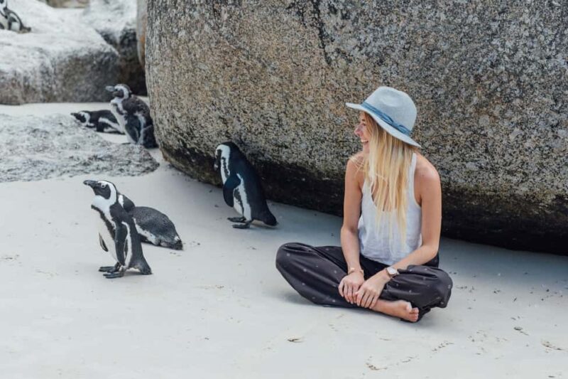 Cape Town: Boulders Penguin Colony Prebooked Entry Ticket - Key Points