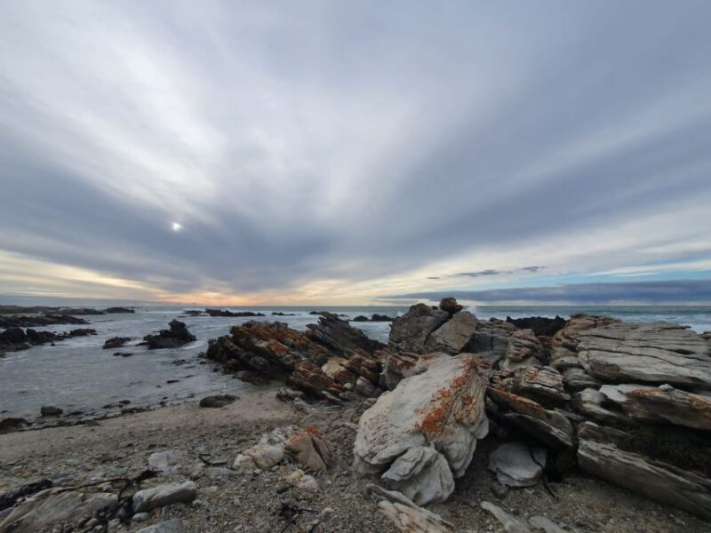 Cape Town: Cape Aghullas Van Tour with Hotel Pickup - An In-Depth Look at the Tour
