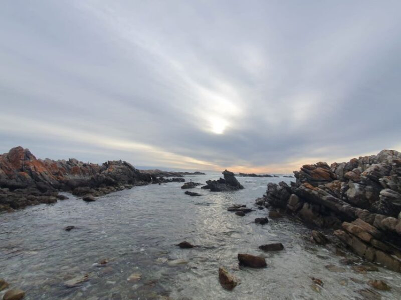 Cape Town: Cape Aghullas Van Tour with Hotel Pickup - What It’s Like to Experience the Tour