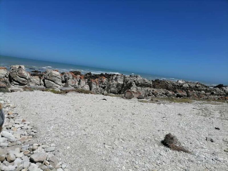 Cape Town: Cape Agulhas Day Trip - An In-Depth Look at the Cape Agulhas Day Trip