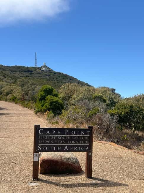 Cape Town: Cape of Good Hope and Penguins Colony Day Tour - Key Points