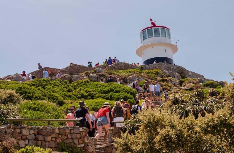 Cape Town: Cape of Good Hope & Cape Point Prebooked Ticket - Final Thoughts: Is This Tour Worth It?