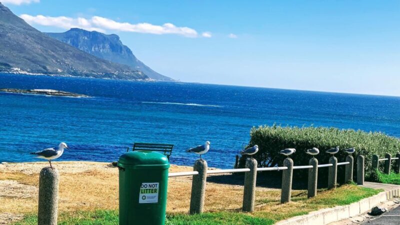 Cape Town: Cape of Good Hope & Penguins Full-Day Guided Tour - Key Points