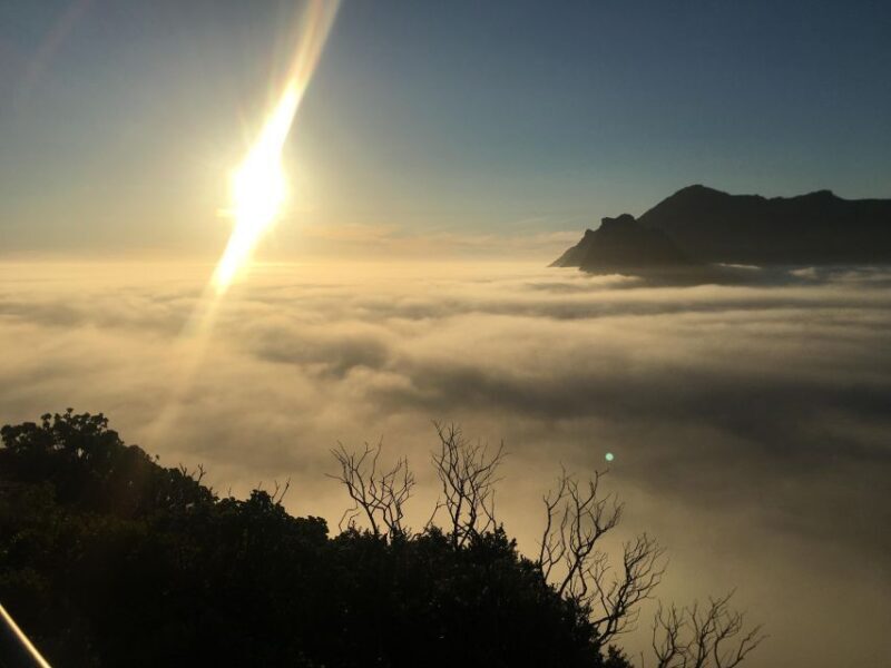 Cape Town: Cape of Good Hope & Penguins Full-Day Guided Tour - The Value Proposition: Is It Worth It?