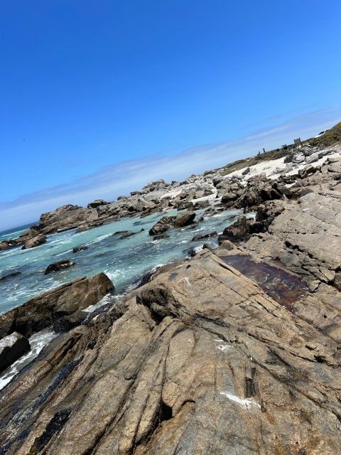 Cape Town: Cape of Good Hope & Penguins Full-Day Guided Tour - FAQ