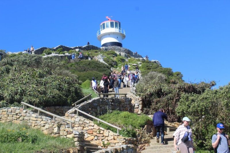 Cape Town: Cape of Good Hope & Penguins Private Scenic Tour - Key Points
