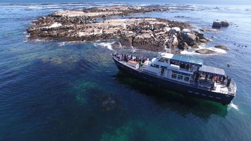 Cape Town: Cape of Good Hope, Seals and Penguins Day Tour - Key Points