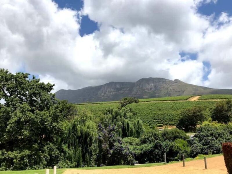 Cape Town: Cape Peninsula and Wine Route Tour - Exploring the Cape: A Complete Look at the Cape Peninsula and Winelands Tour