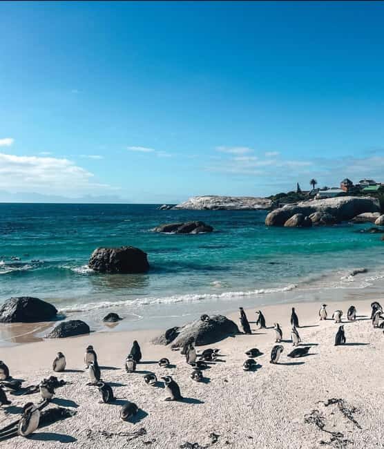 Cape Town: Cape Peninsula Jeep Safari Adventure - What the Tour Means for You: Authenticity and Enjoyment