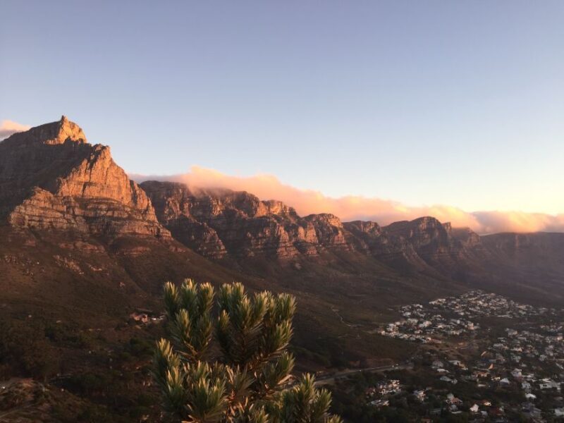Cape Town: Cape Point and Penguin Colony Full Day Tour - A Full-Day Journey Through Cape Town’s Most Famous Sights