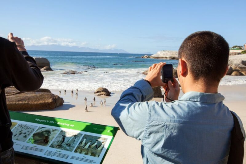 Cape Town: Cape Point and Penguin Colony Full Day Tour - Frequently Asked Questions