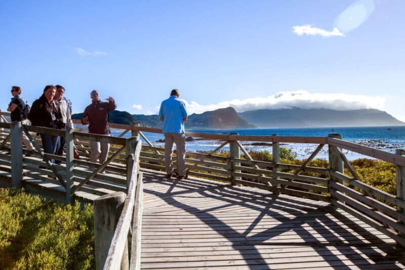 Cape Town: Cape Point and Penguin Colony Full Day Tour - Final Thoughts