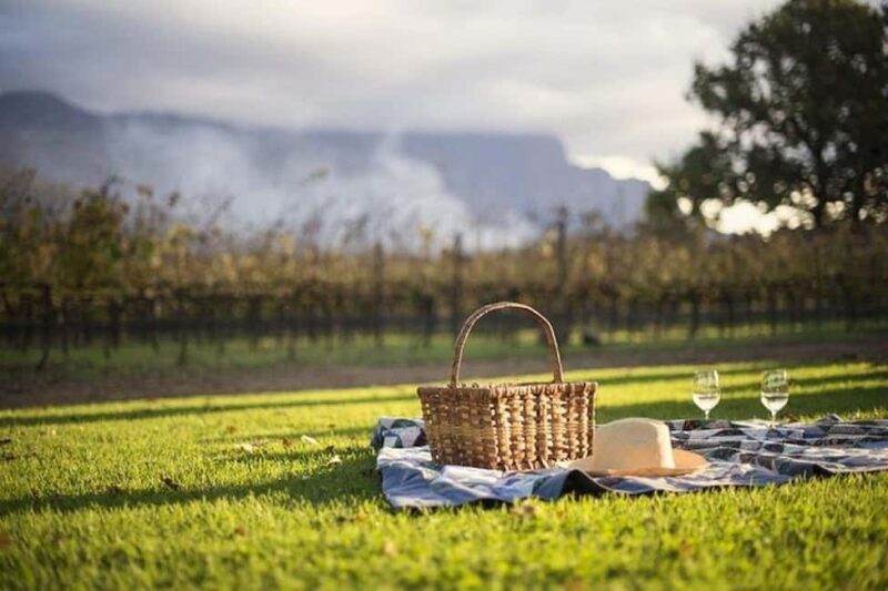 Cape Town: Cape Winelands Explore Day Tour Private Transfer - An In-Depth Look at the Tour