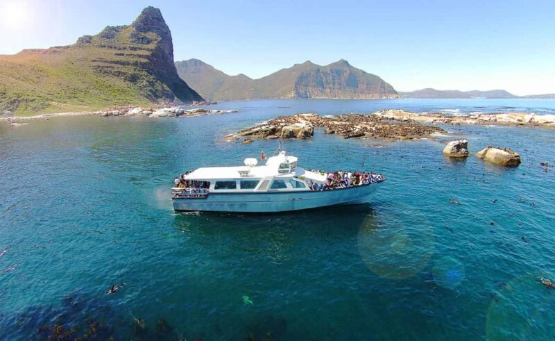 Cape Town: City Explorer Pass with Classic Bus Ticket - Who Will Love This Tour?