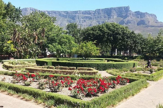 Cape Town City Tour Camps Bay Beach Plus Table Mountain Ticket - Final Thoughts
