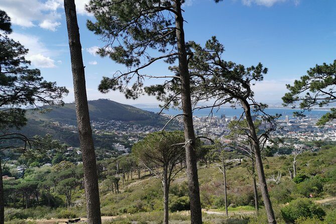 Cape Town City Tour including Lion's head with Wi-Fi on board. - Authentic Experiences Shared by Travelers