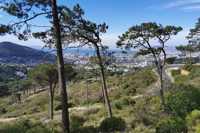 Cape Town City Tour including Lion's head with Wi-Fi on board. - The Sum Up