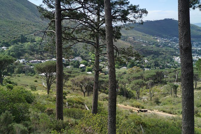 Cape Town City Tour including Lion's head with Wi-Fi on board. - FAQ