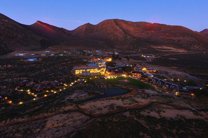 Cape Town Day Safari - The Itinerary: What to Expect and Why It Matters