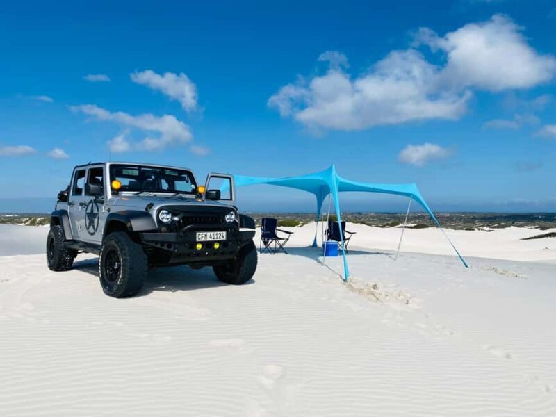 Cape Town Desert Thrills: Dune Jeep Venture - Who Should Consider This Tour?