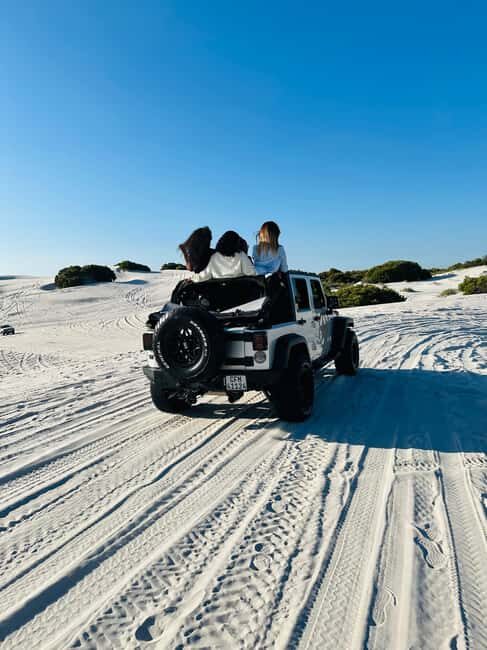 Cape Town Dessert Thrill: Jeep Dune Venture - Who Will Enjoy This Tour?