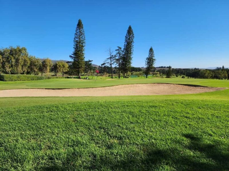 Cape Town: Experience Golf, Wine Tour with VIP Wine Tasting - Key Points