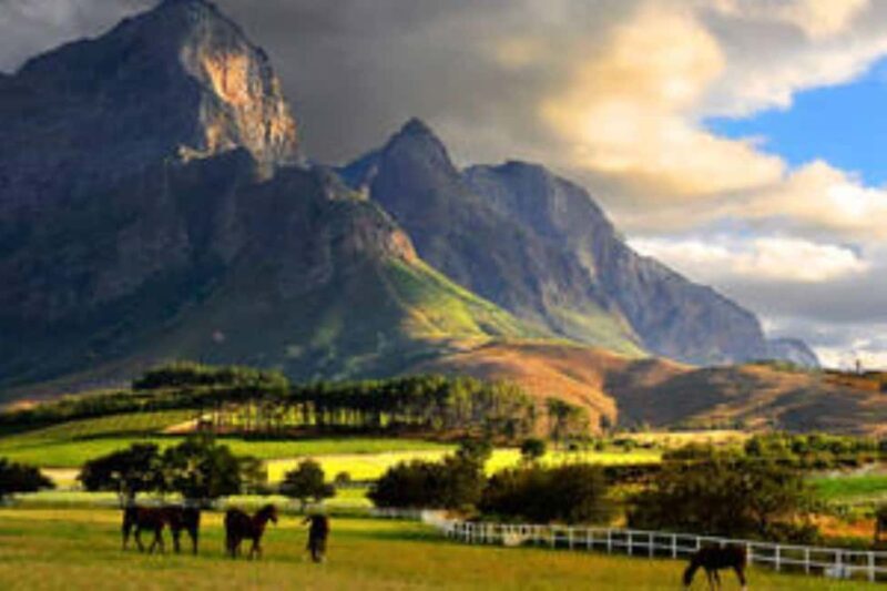 Cape Town: Franschhoek Private Wine Tour - Key Points