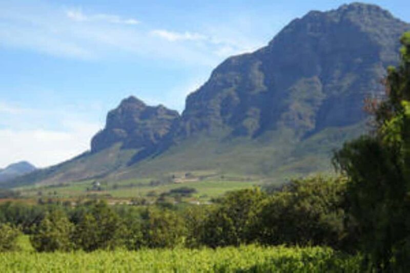 Cape Town: Franschhoek Private Wine Tour - An Introduction to the Franschhoek Experience