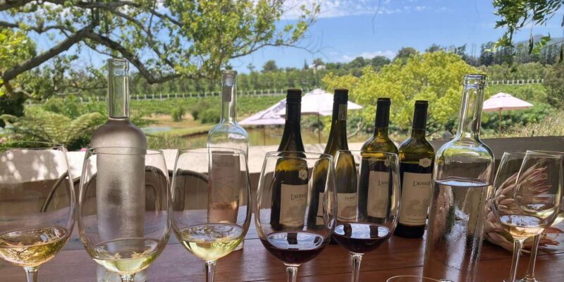Cape Town: Franschhoek Wine Tram Hop-On Hop-Off Tour - The Hop-On Hop-Off Wine Tram Itself