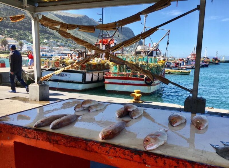 Cape Town: Full-Day Private Tour with Cape Point & Penguins - Exploring the Itinerary: What to Expect
