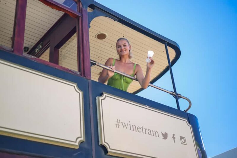 Cape Town: Full-Day Wine Tasting Tour with Wine Tram - Authentic Experiences and Customer Feedback