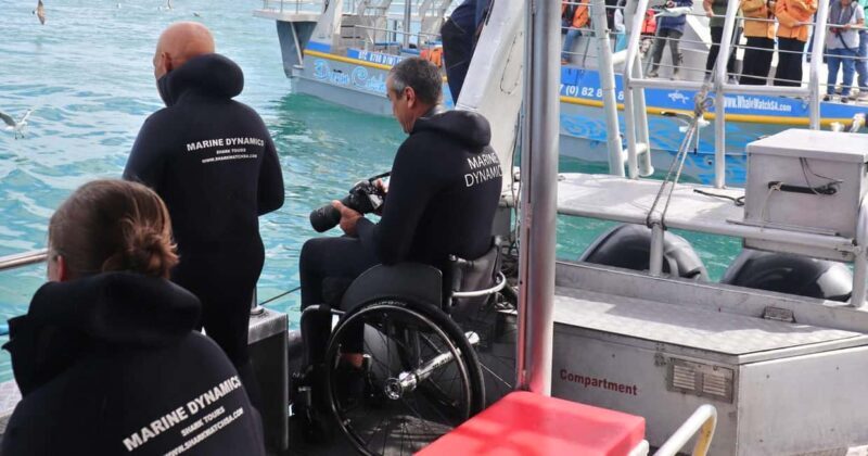 Cape Town: Gansbaai Eco-Friendly Shark Cage Diving Cruise - Who Will Love This Tour?