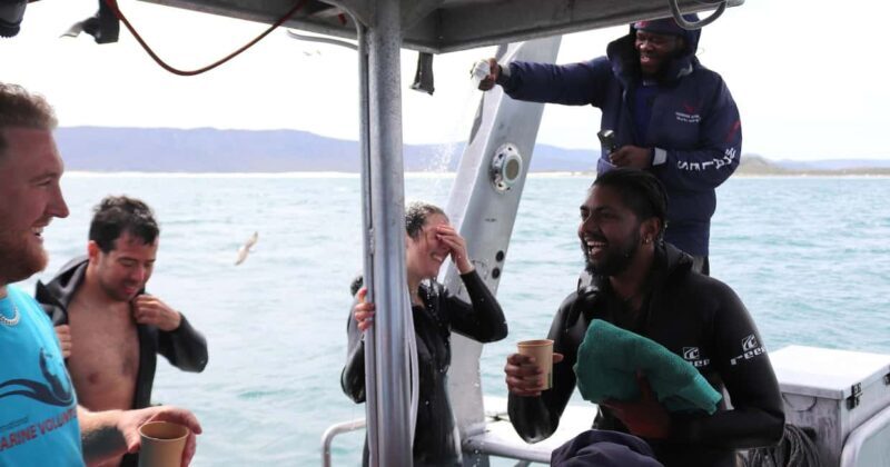 Cape Town: Gansbaai Eco-Friendly Shark Cage Diving Cruise - FAQ