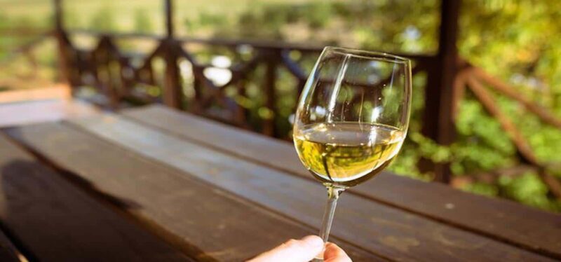 Cape Town: Giraffic , Cheetah Encounter and wine testing - The Sum Up