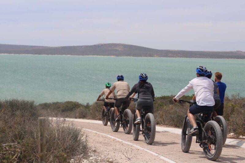 Cape Town: Guided e-Bike Safari Tour - An In-Depth Look at the Guided e-Bike Safari