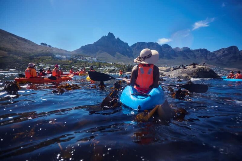 Cape Town: Guided Kayak Tour of Clifton Beaches & The Coast - Practical Tips for Your Kayak Adventure